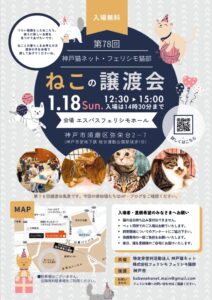 1/18譲渡会参加猫のエントリー受付 | 特定非営利活動法人 神戸猫ネット