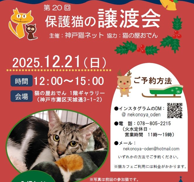 第20回譲渡会 at 猫カフェ猫の屋おでん | 特定非営利活動法人 神戸猫