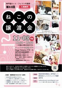 譲渡会のチラシ